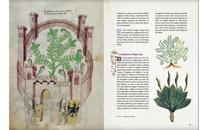 L'énigmatique Tractatus de Herbis