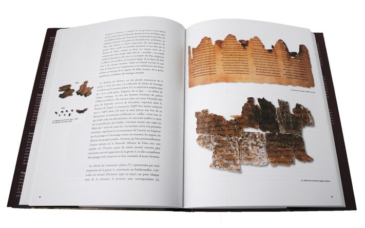 Les manuscrits de la Mer Morte