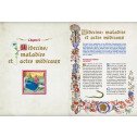 L'énigmatique Tractatus de Herbis