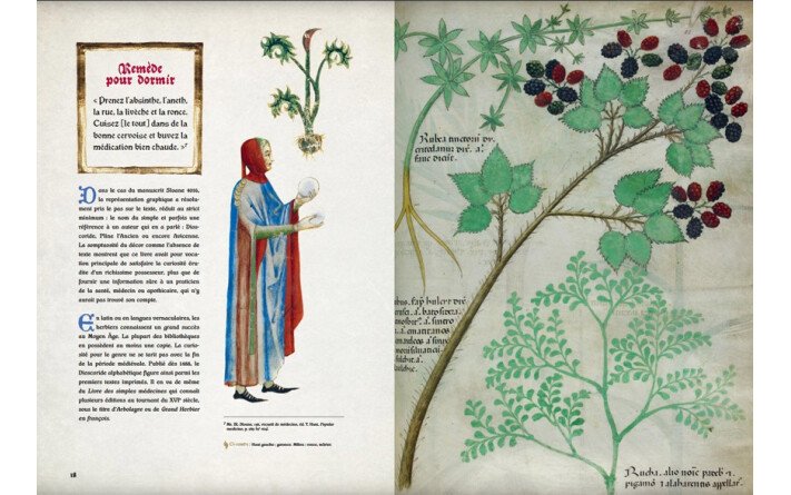 L'énigmatique Tractatus de Herbis