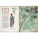 L'énigmatique Tractatus de Herbis