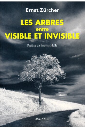 Les arbres entre visible et invisible