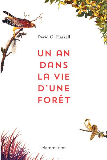 Un an dans la vie d'une forêt