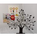 The Fan tree