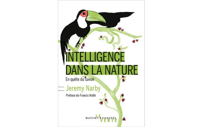 INTELLIGENCE DANS LA NATURE EN QUETE DU SAVOIR
