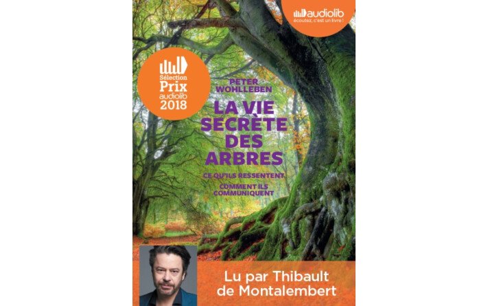 VIE SECRETE DES ARBRES CD