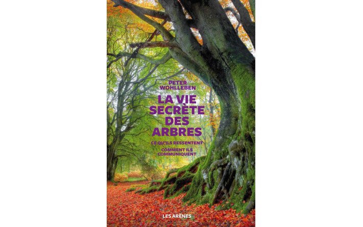 La vie secrète des arbres
