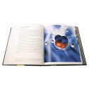 Le beau livre de la physique