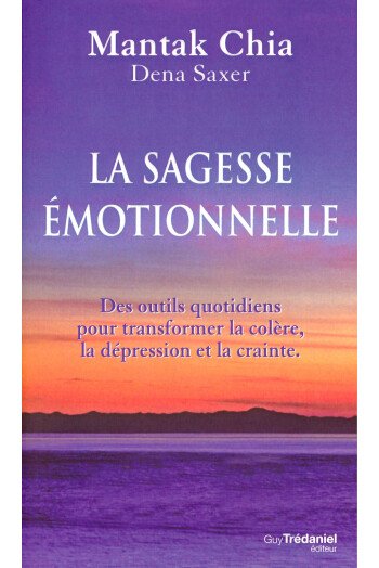 La sagesse émotionnelle