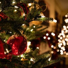 Magie de Noël