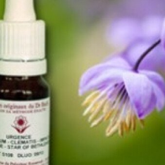 Les Élixirs floraux du Dr. Bach