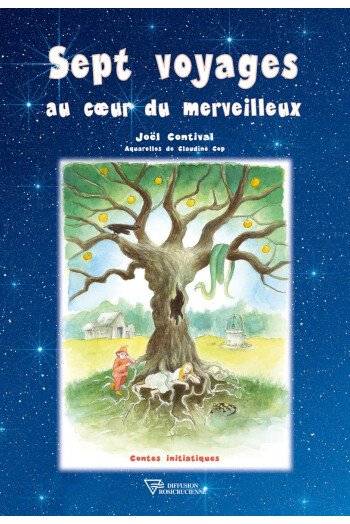 Sept voyages au coeur du merveilleux