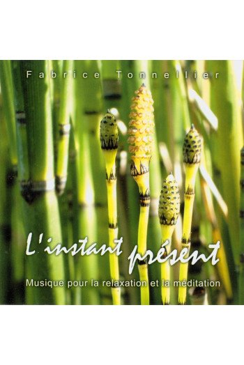 INSTANT PRESENT CD