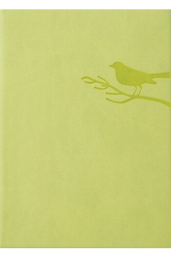 Carnet Vert Anis
