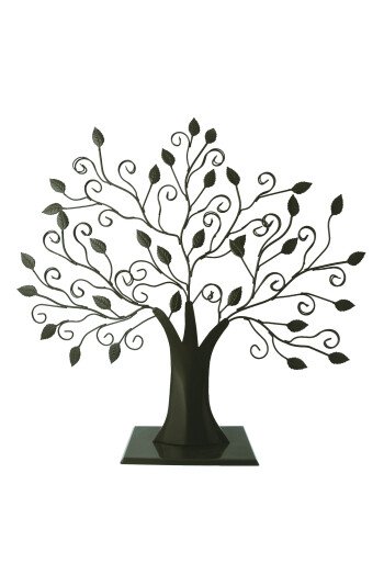 The Fan tree